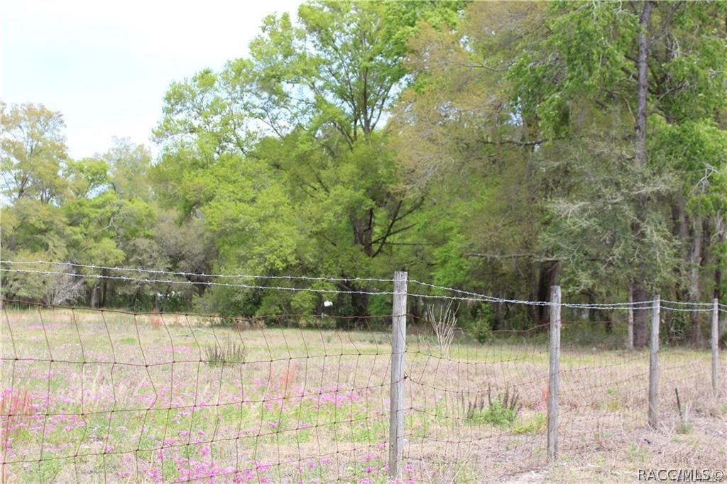 8055 N Citrus Avenue