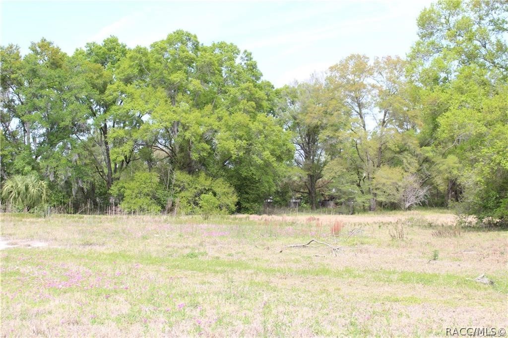 8055 N Citrus Avenue