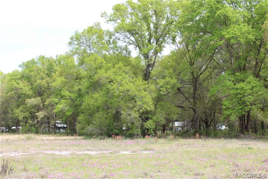 8055 N Citrus Avenue