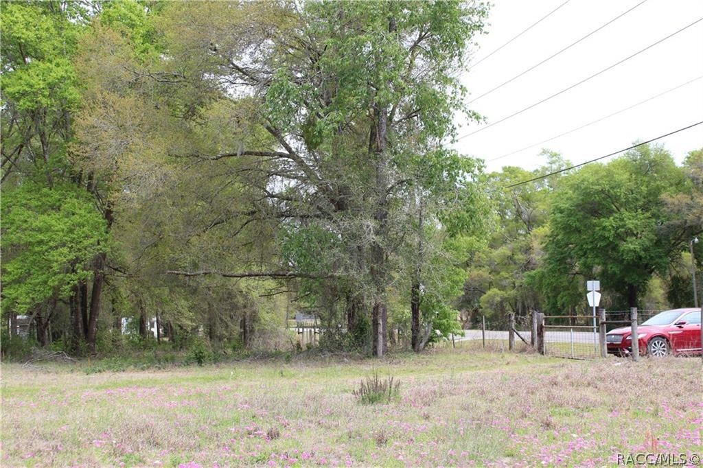 8055 N Citrus Avenue