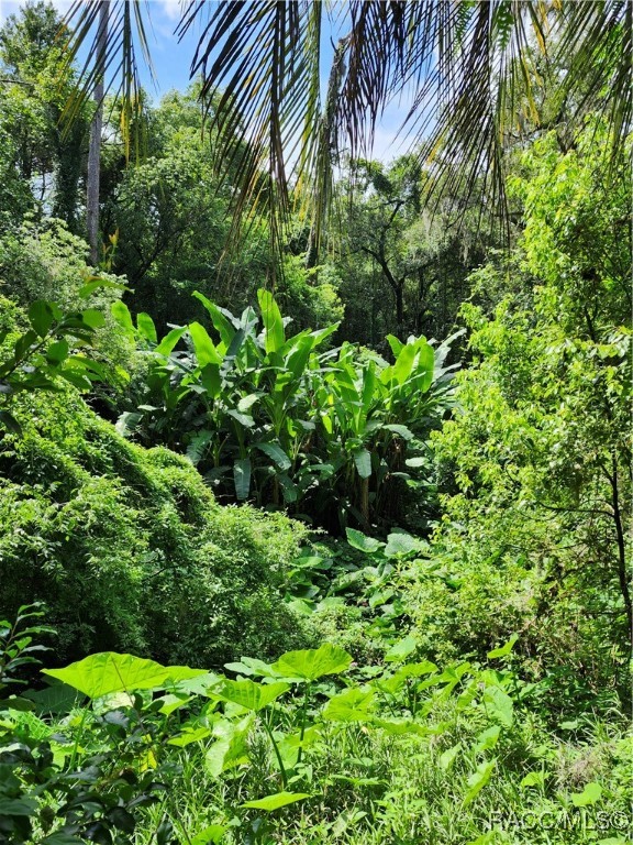 9181 S Mountain Lake Avenue