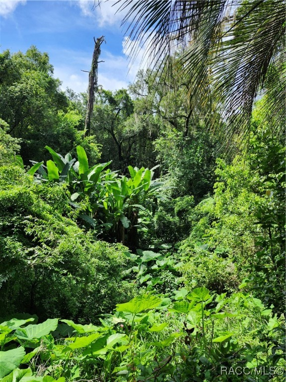 9181 S Mountain Lake Avenue