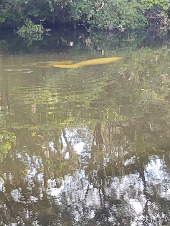 18 Palm Circle Drive