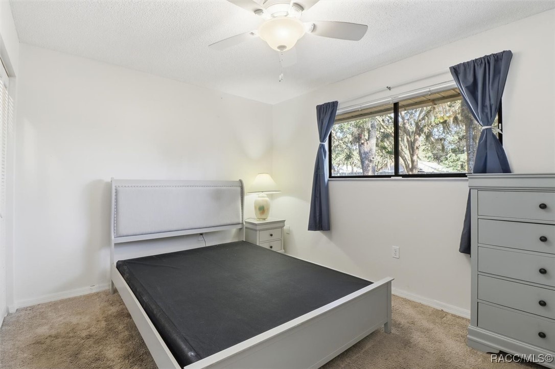 537 Cherry laurel