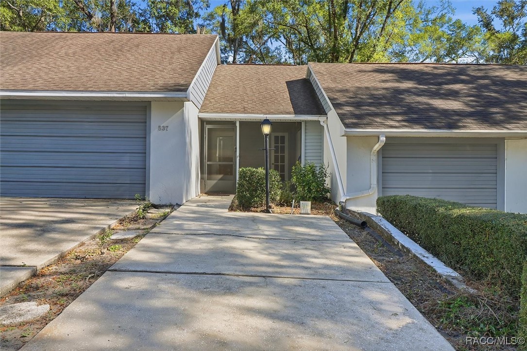 537 Cherry laurel