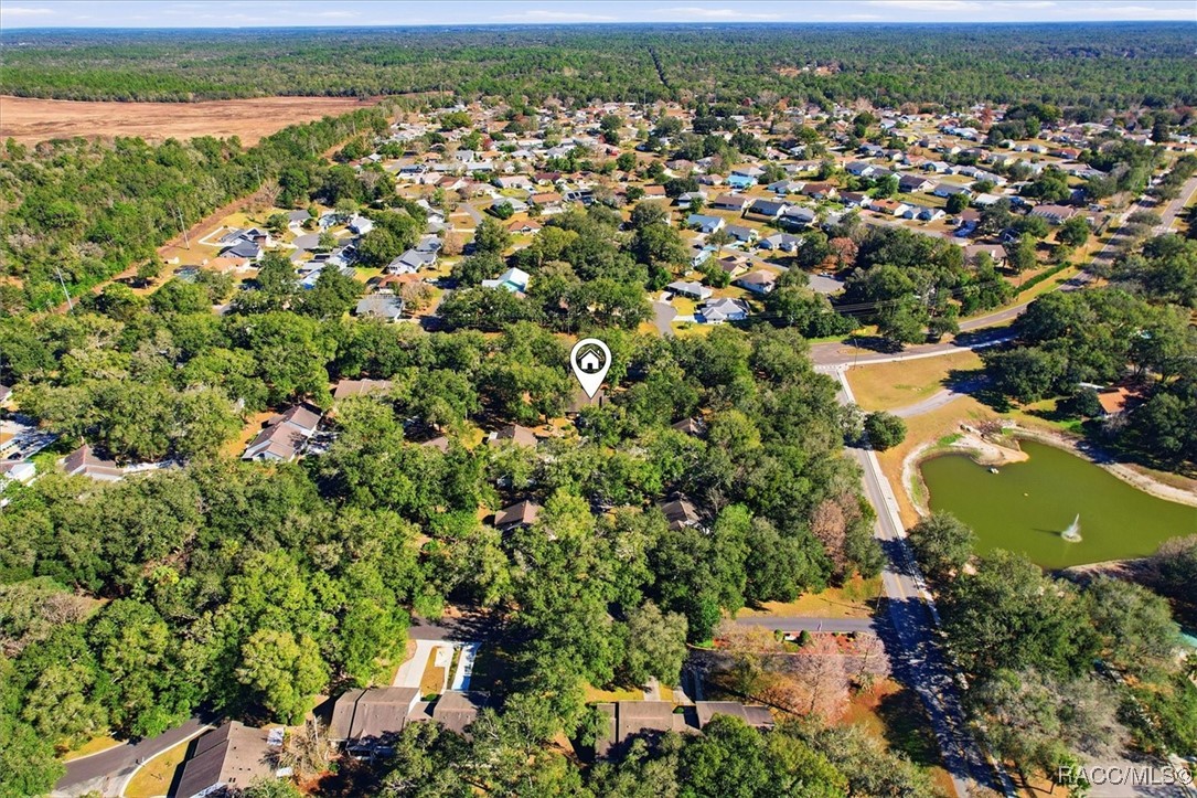 537 Cherry laurel