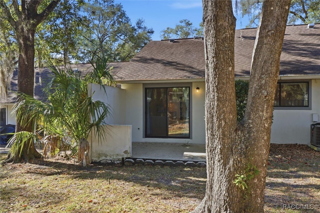 537 Cherry laurel