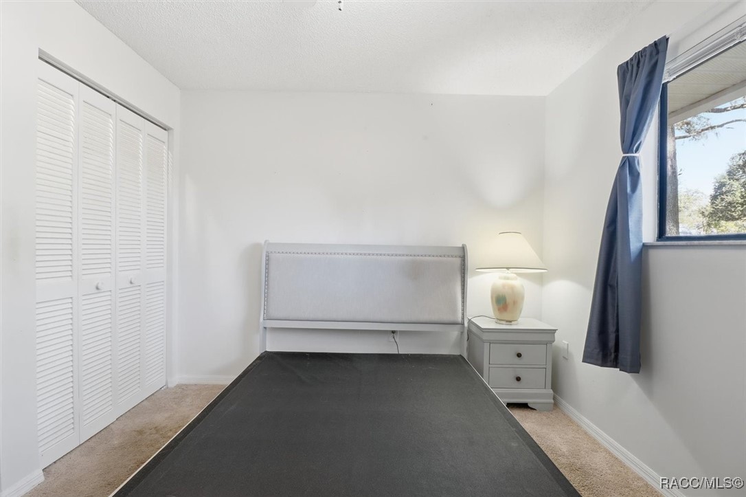 537 Cherry laurel