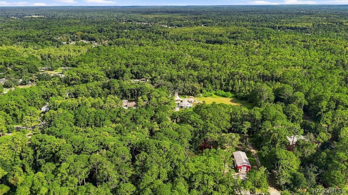 Aerial view of wooded Homosassa property with scattered homes, clearings, and a red outbuilding.