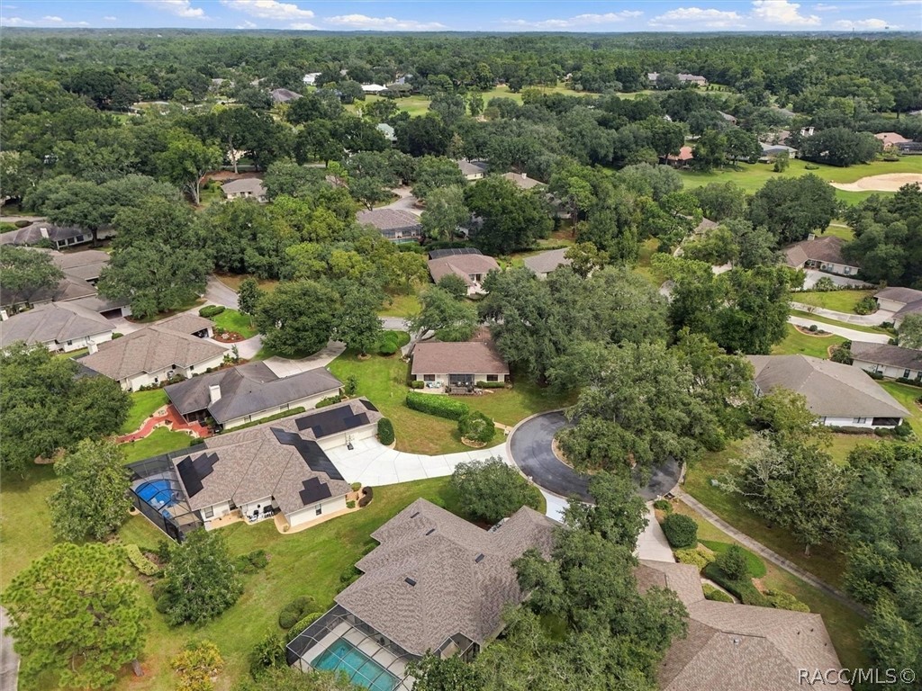 Aerial view of tree-lined neighborhood homes and a cul-de-sac.