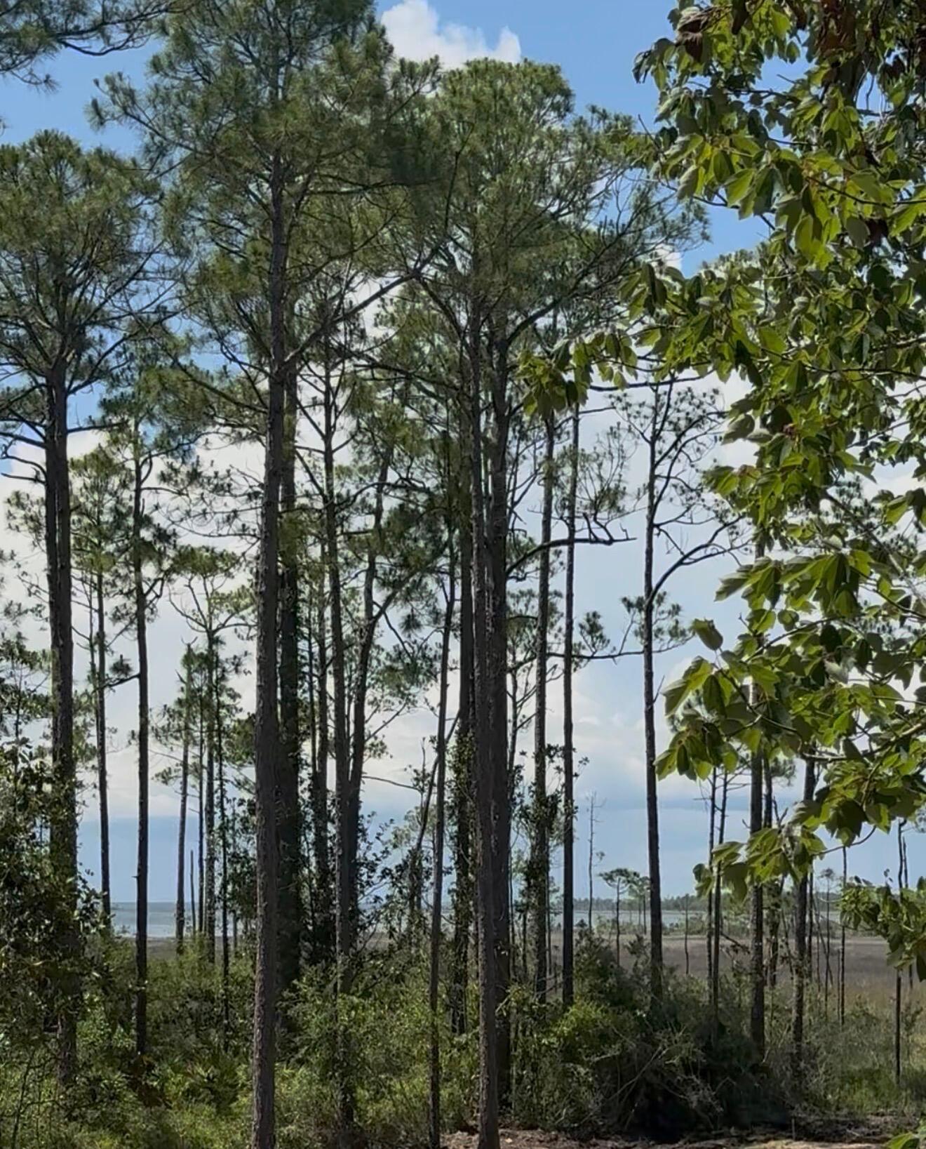 Lot 8 19th Street