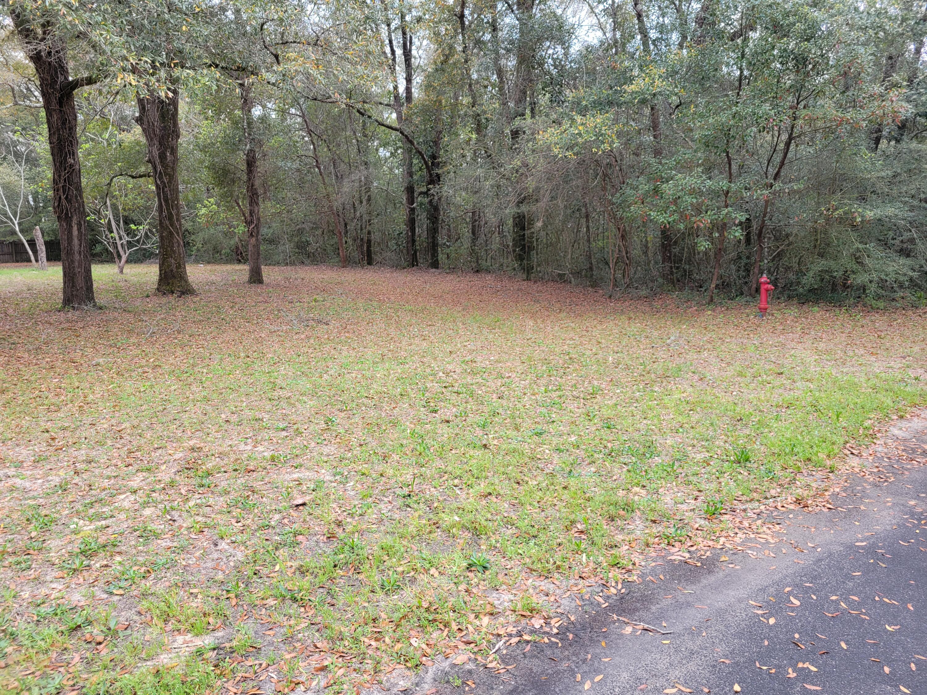 Lot 1 & 2 S 20th St., DeFuniak Springs