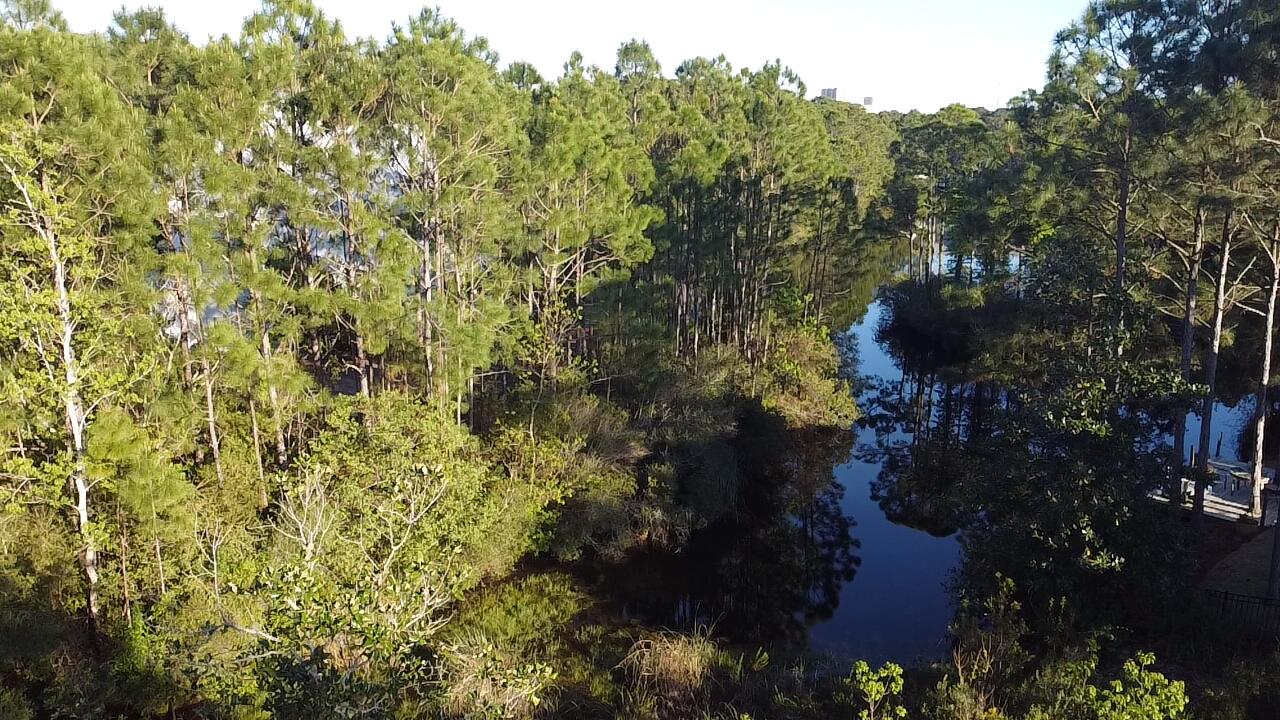 12 Bayshore Pines Court