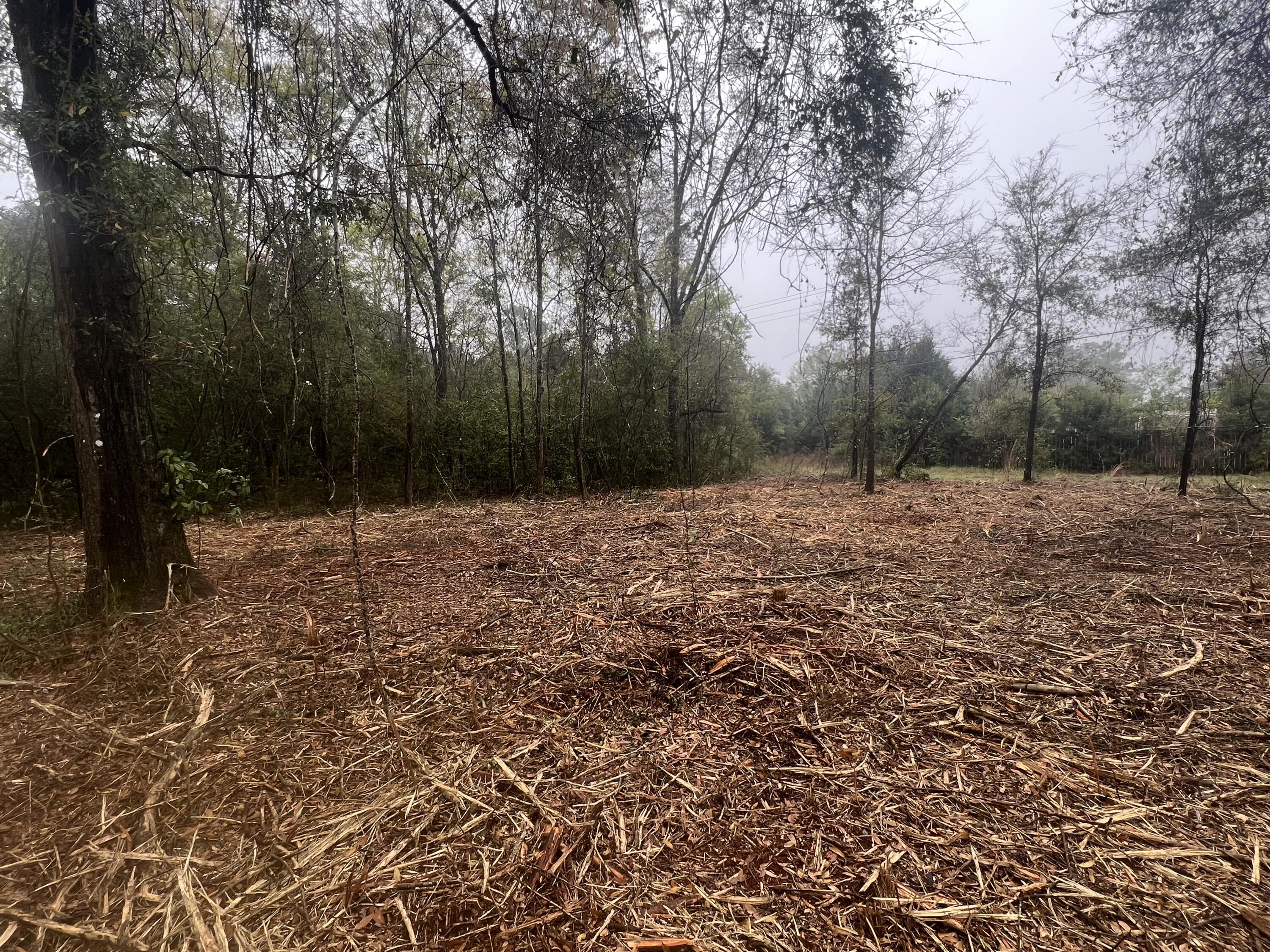 80 Chestnut Street, DeFuniak Springs