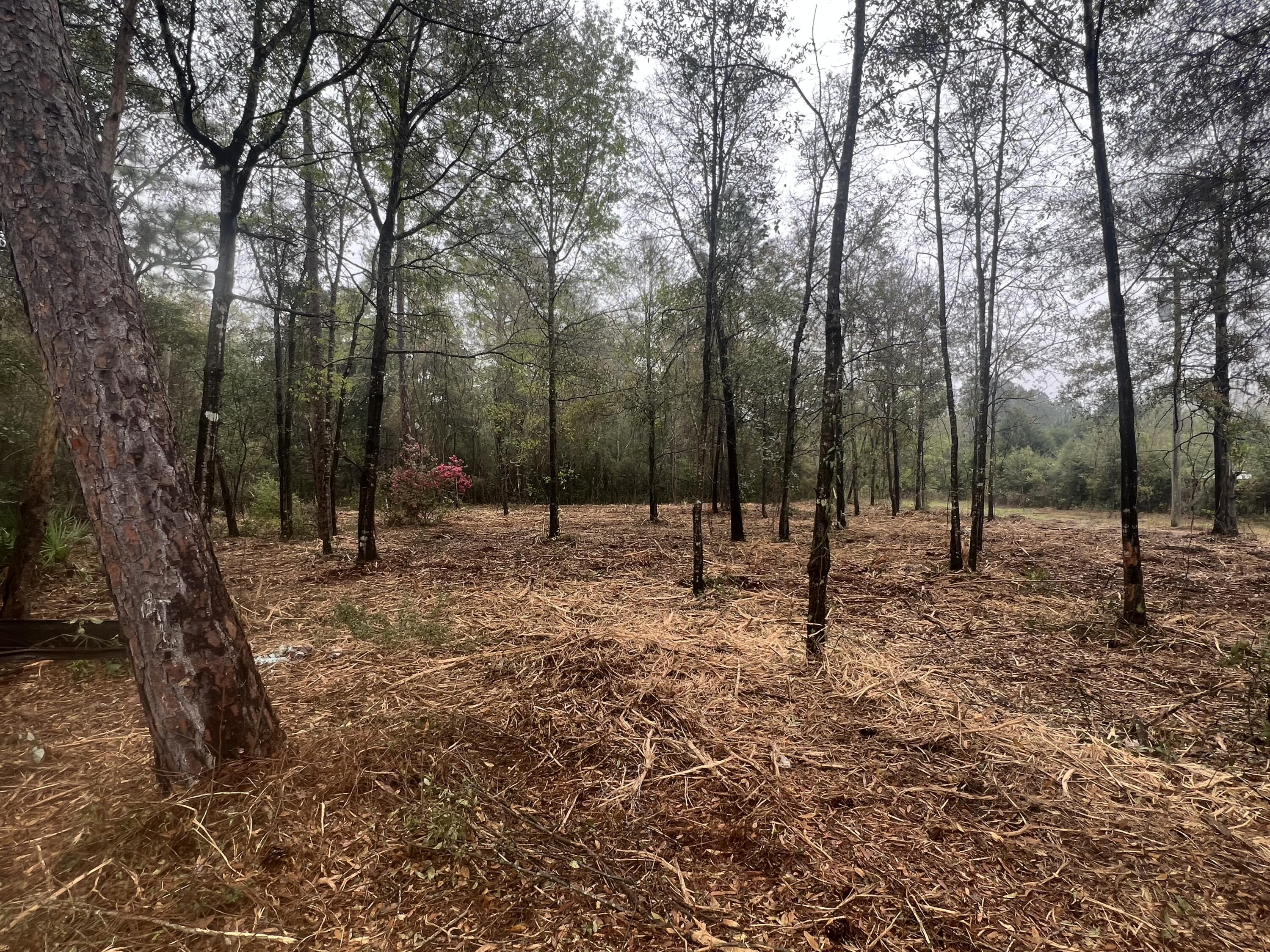 80 Chestnut Street, DeFuniak Springs