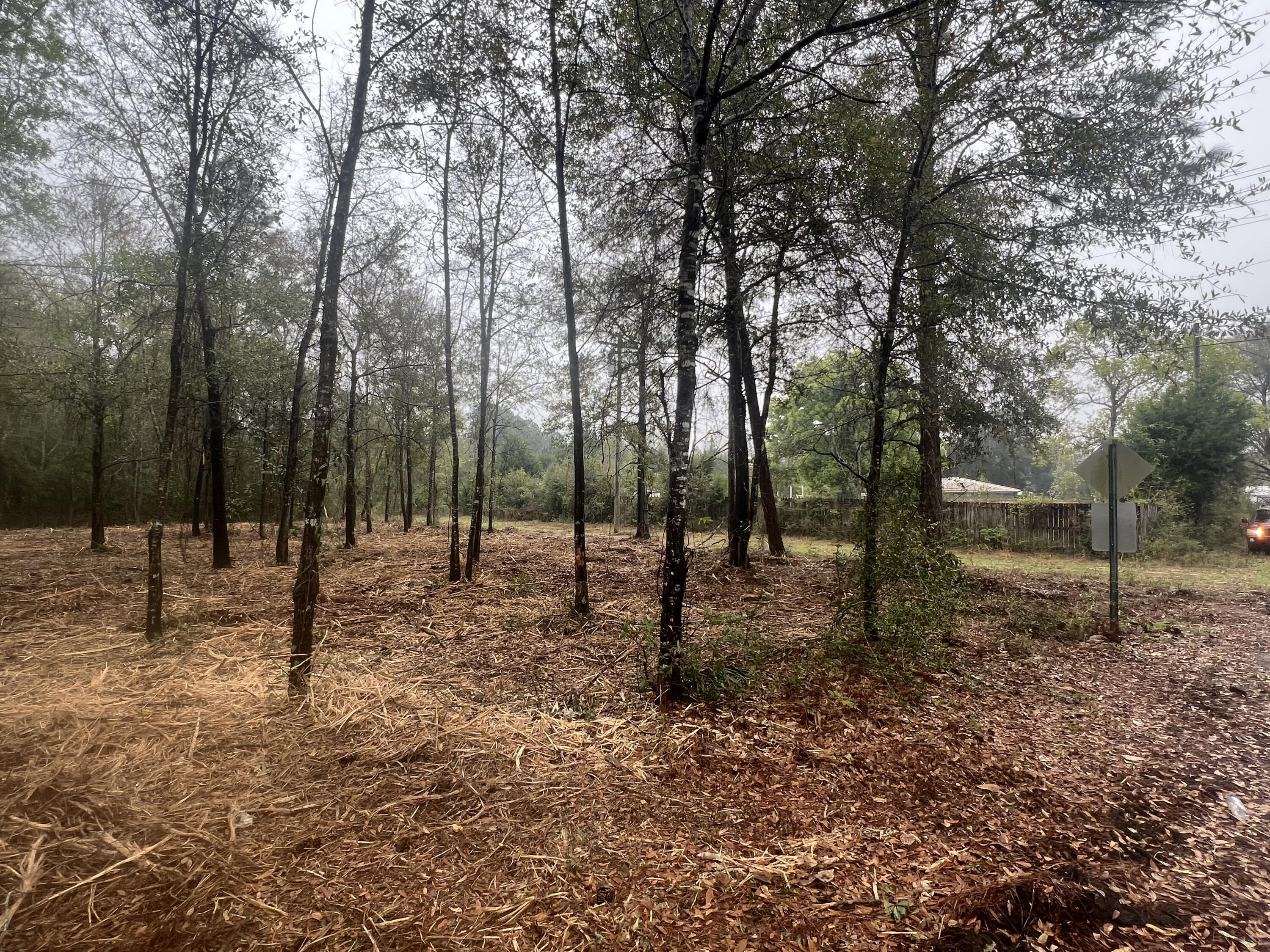 80 Chestnut Street, DeFuniak Springs