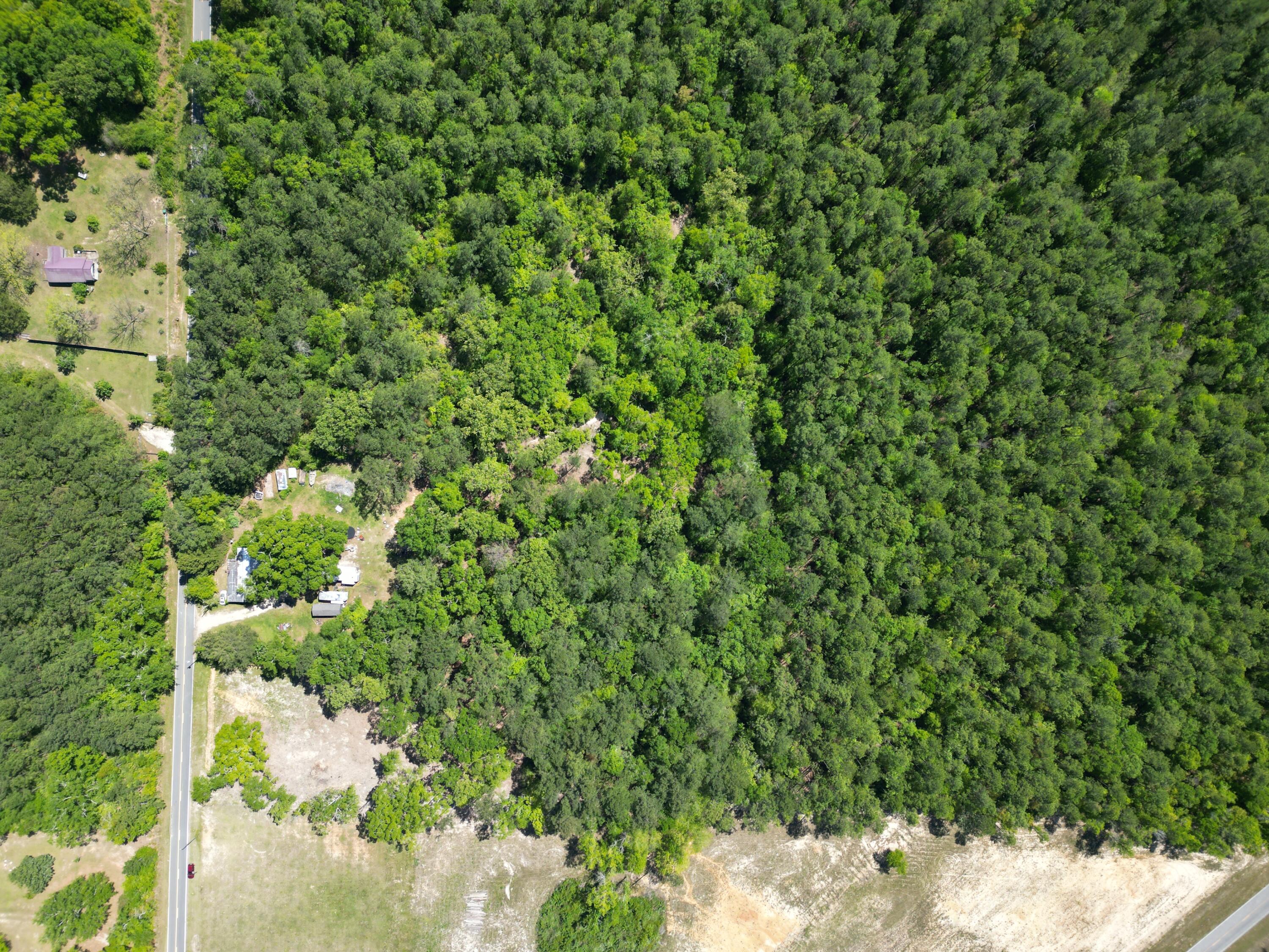 2364 Shakey Joe Road