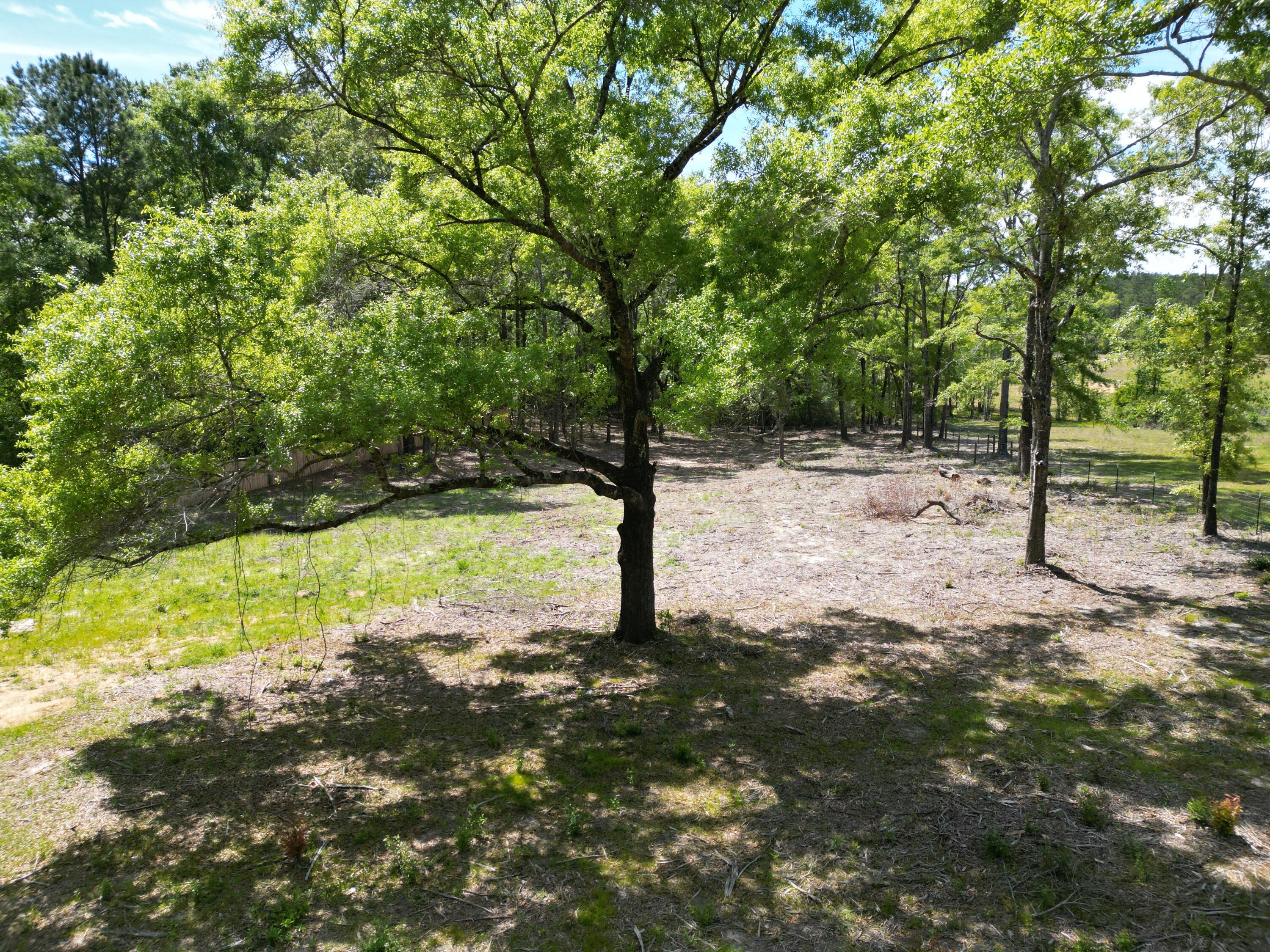 2364 Shakey Joe Road