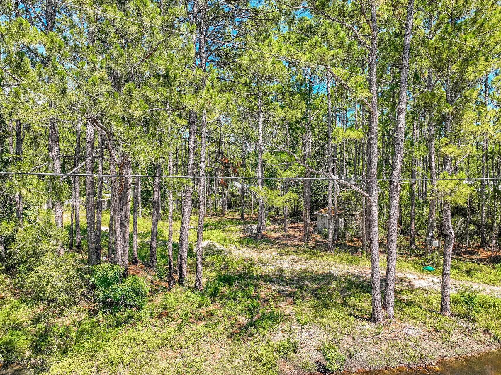 156 Holly Pines Circle