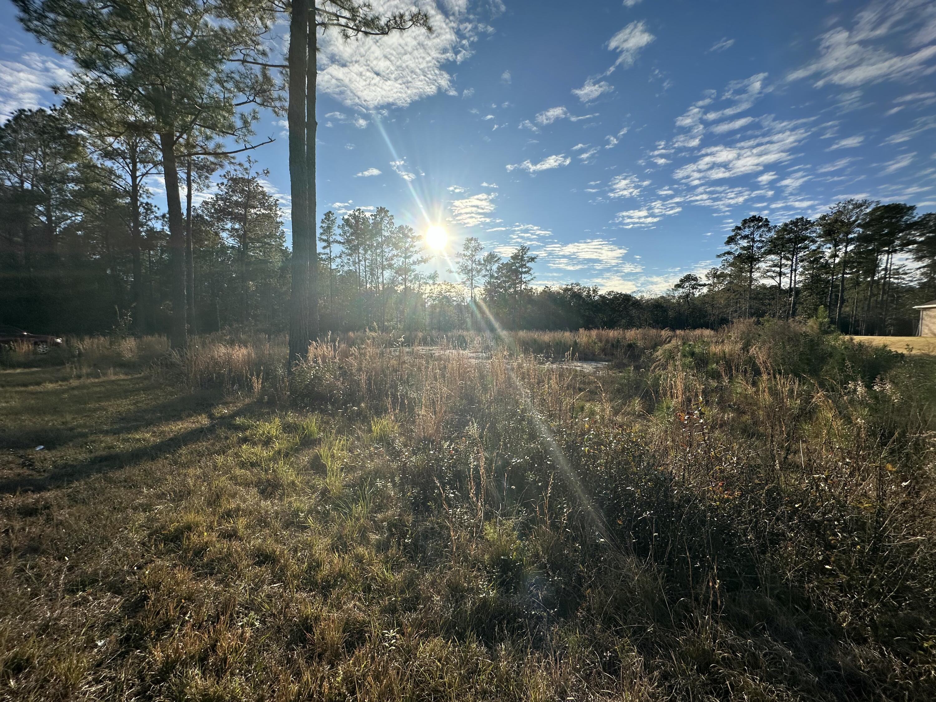 TBD J W Hollington Road