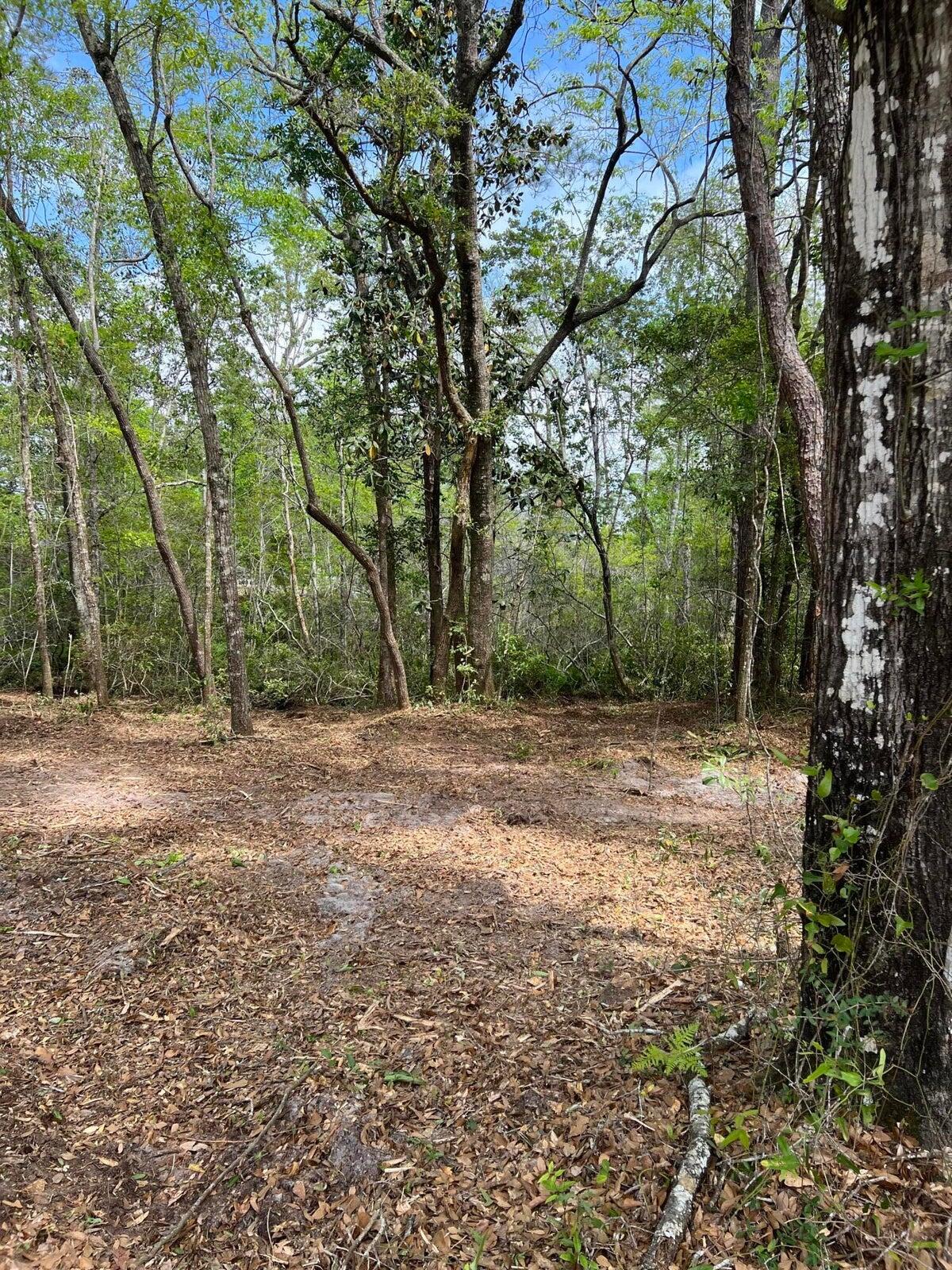lot 18 Cross Creek Circle