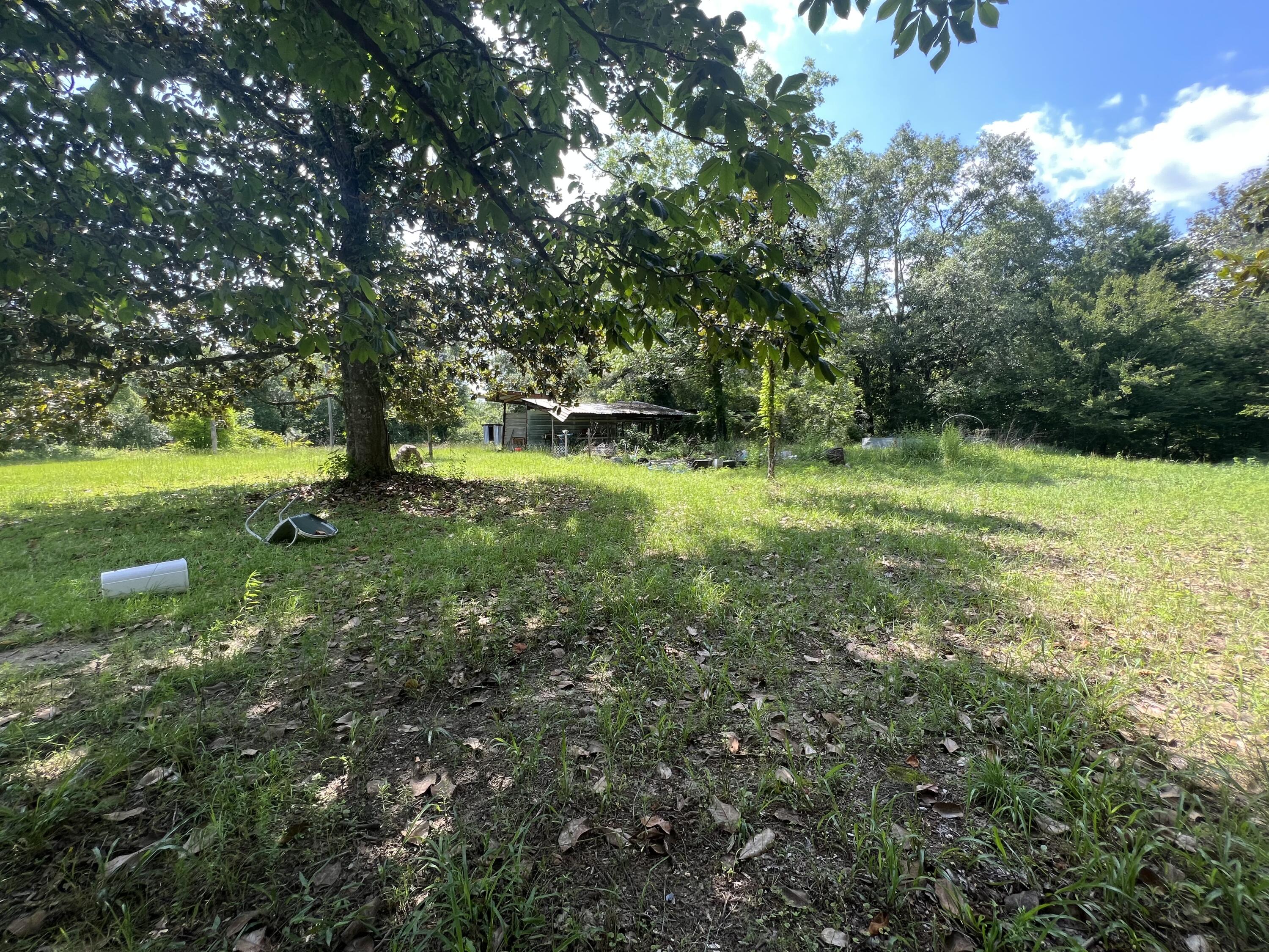 92 Hummingbird Lane