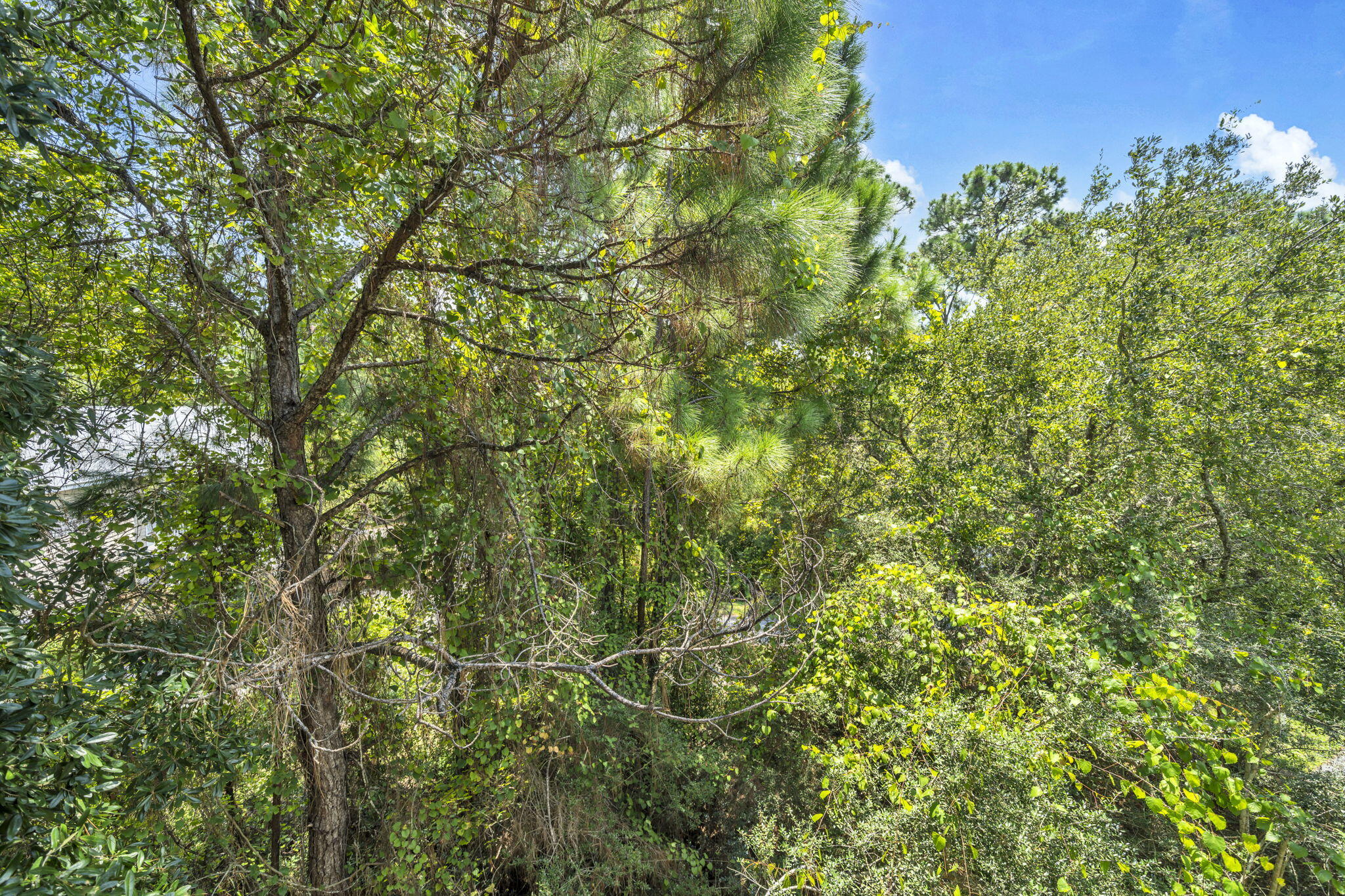 200 Sandestin Lane, 310