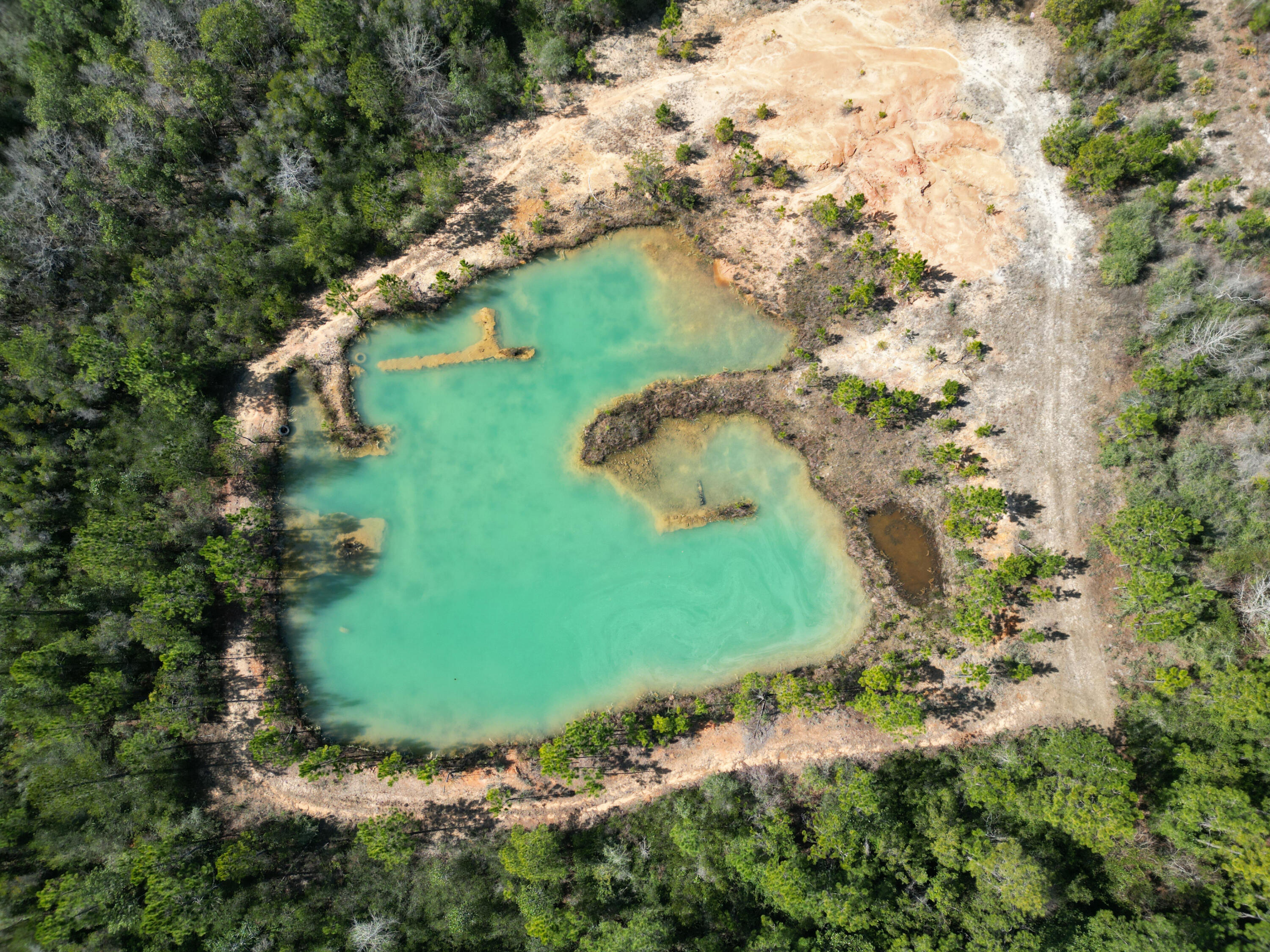 XXX Edgewood Circle, DeFuniak Springs