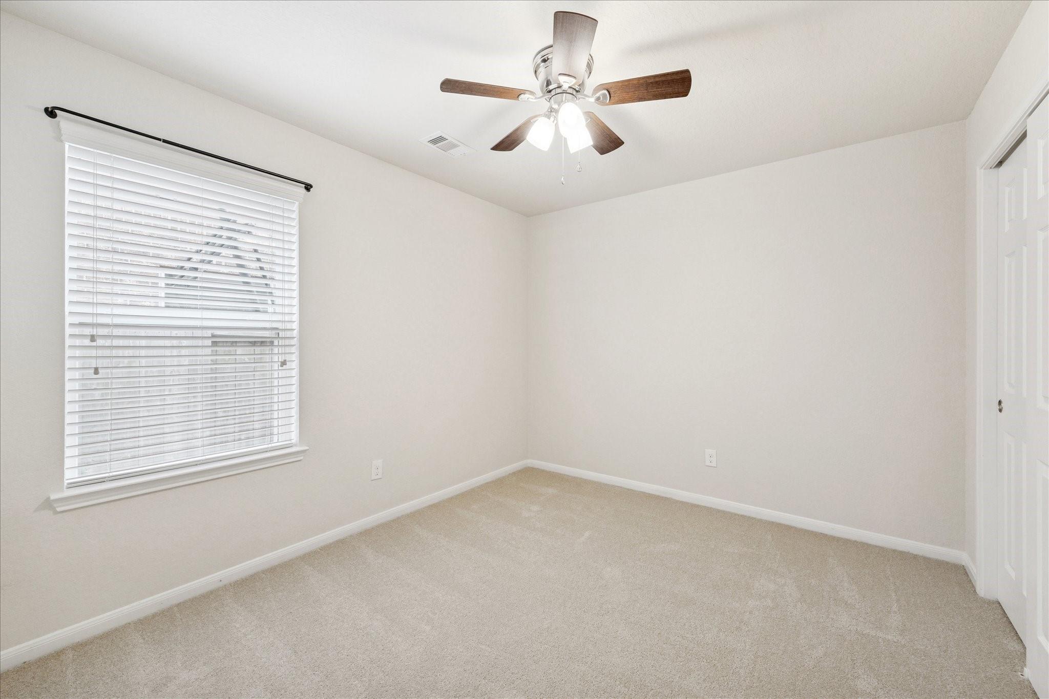 8211 Pastel Dawn Trace