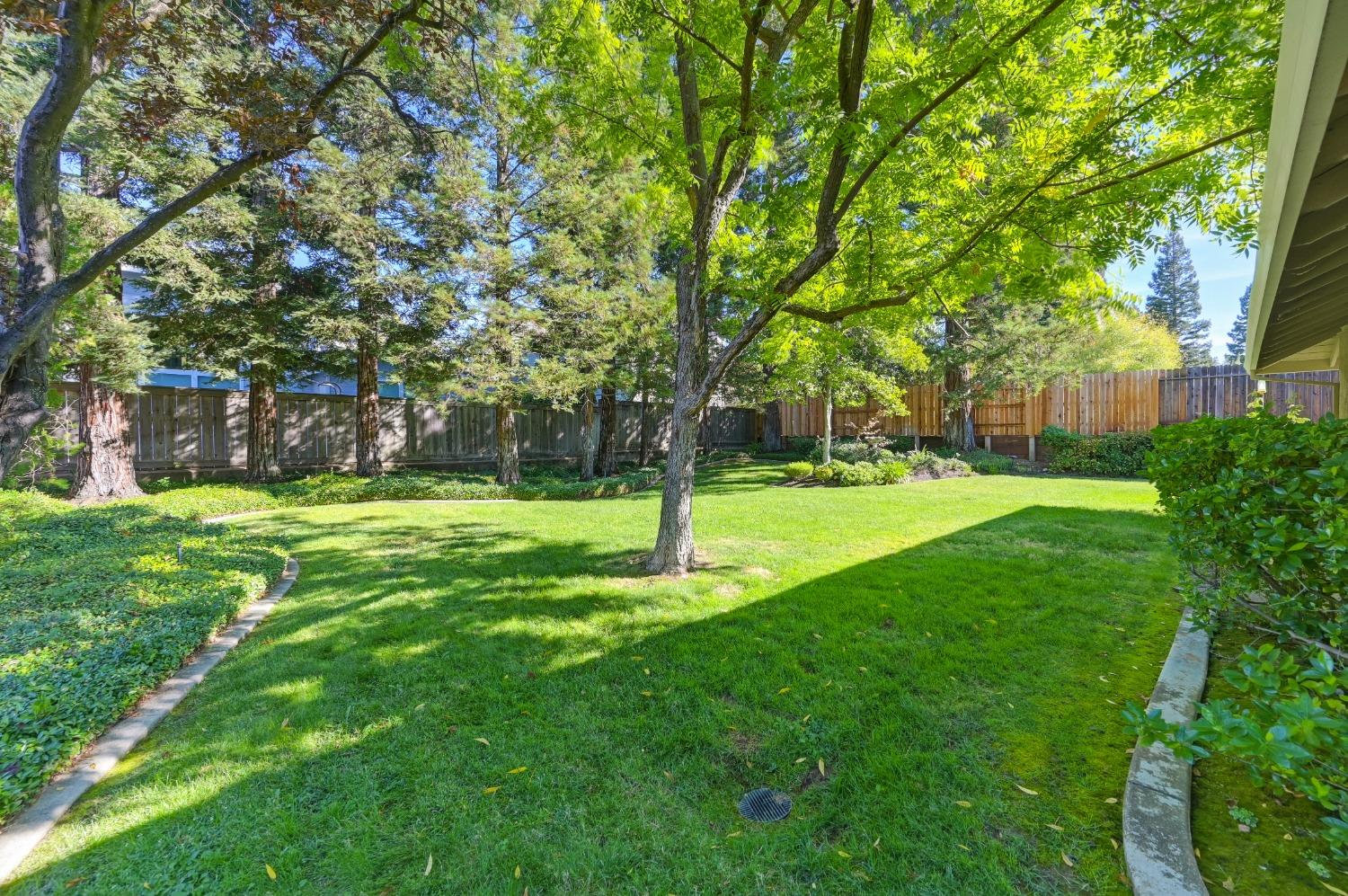 2303 Thistle Down Drive