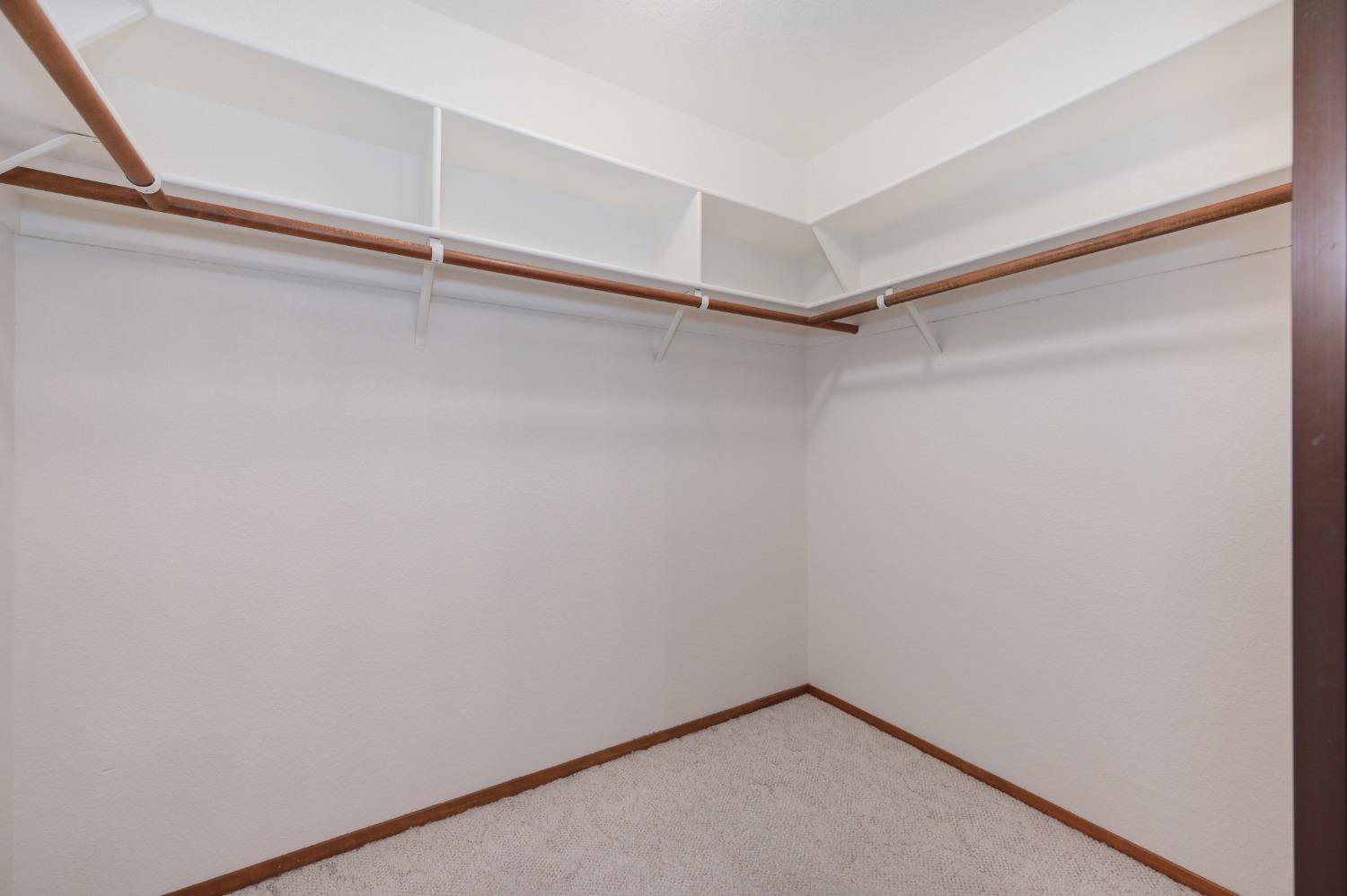 2303 Thistle Down Drive