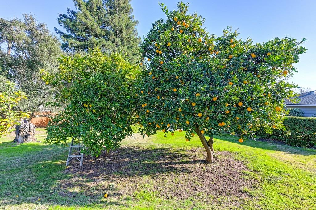 7551 Eastgate Avenue