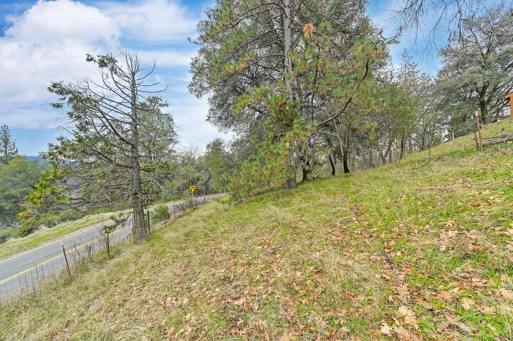 6180 Grizzly Flat Road