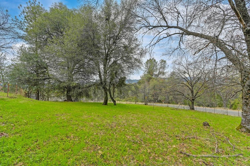 6180 Grizzly Flat Road