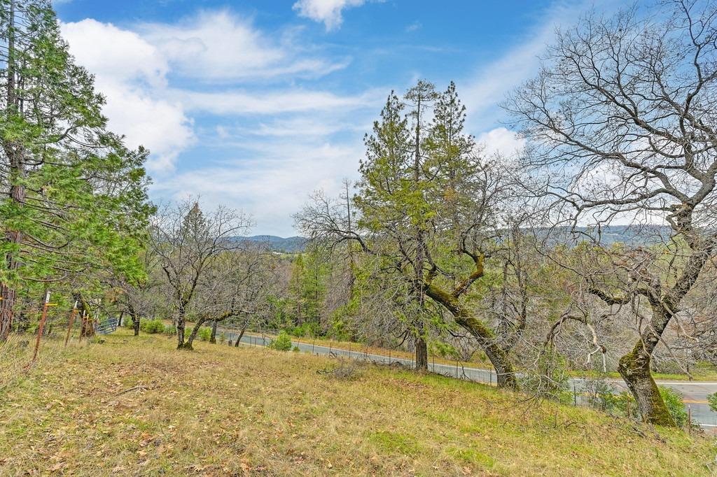 6180 Grizzly Flat Road