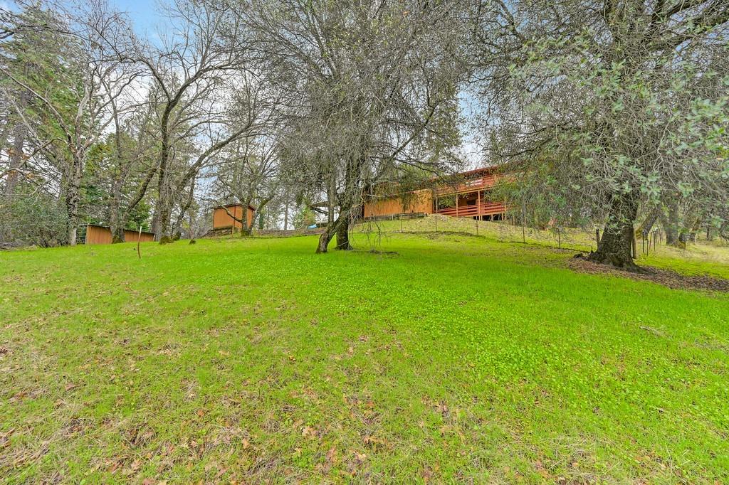 6180 Grizzly Flat Road