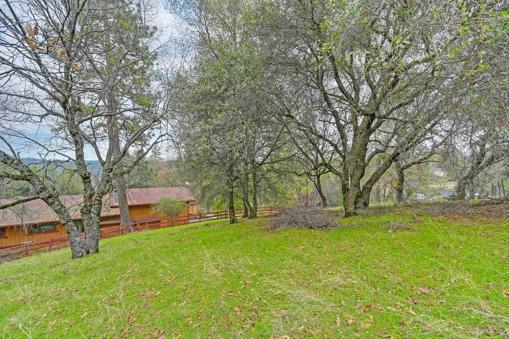 6180 Grizzly Flat Road