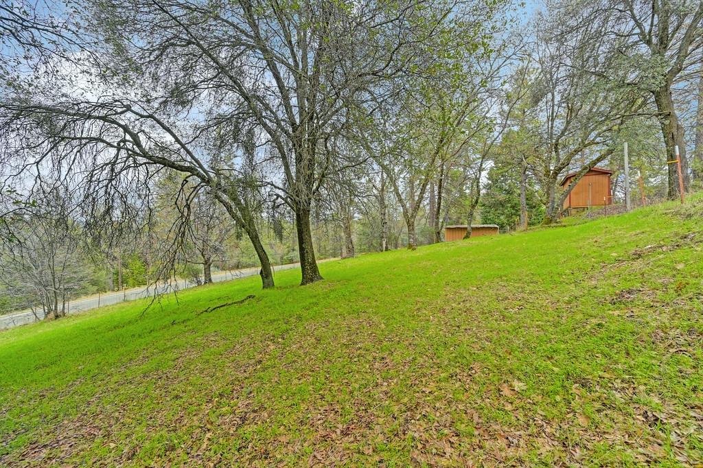 6180 Grizzly Flat Road