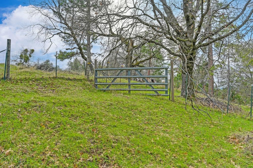 6180 Grizzly Flat Road