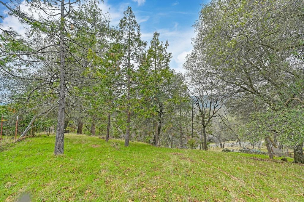 6180 Grizzly Flat Road