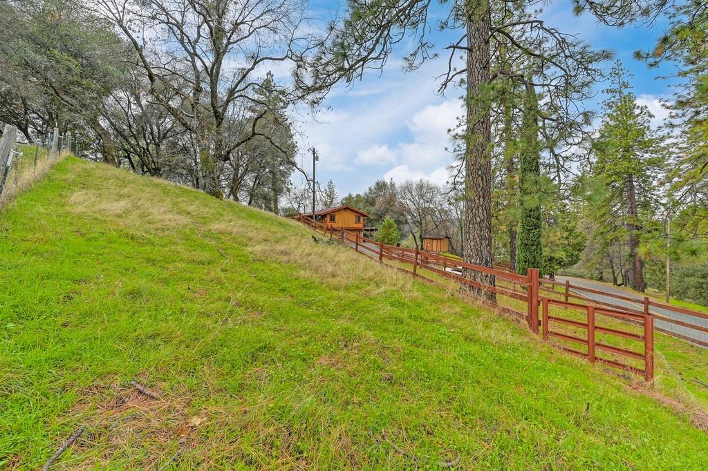 6180 Grizzly Flat Road