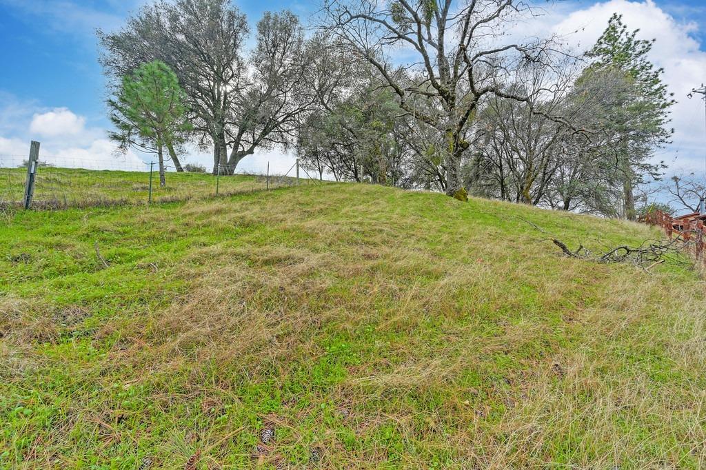 6180 Grizzly Flat Road