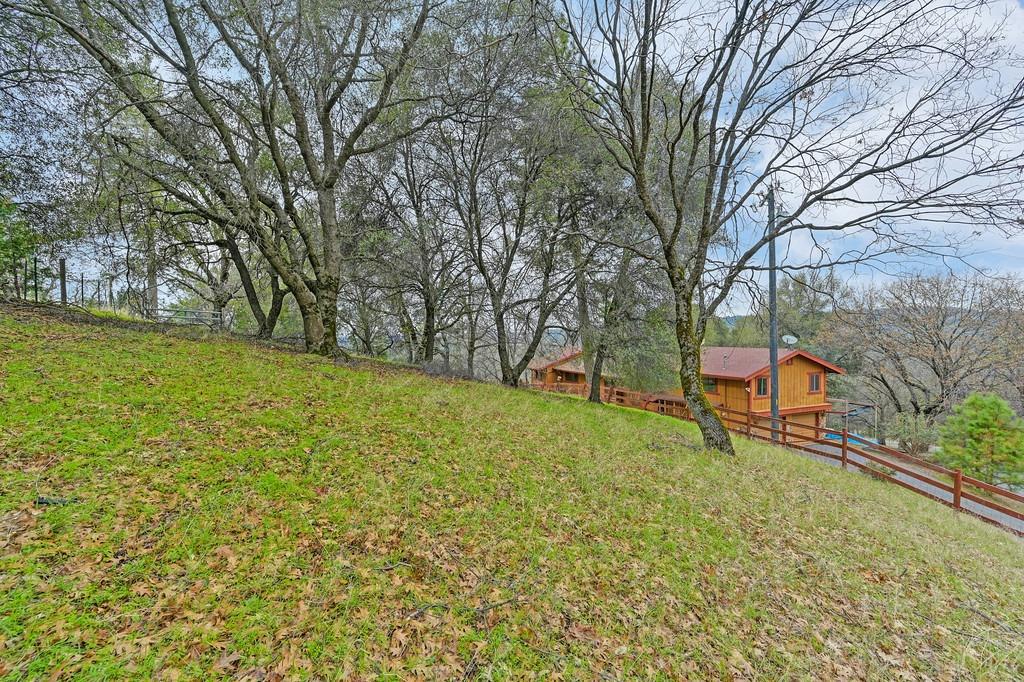 6180 Grizzly Flat Road