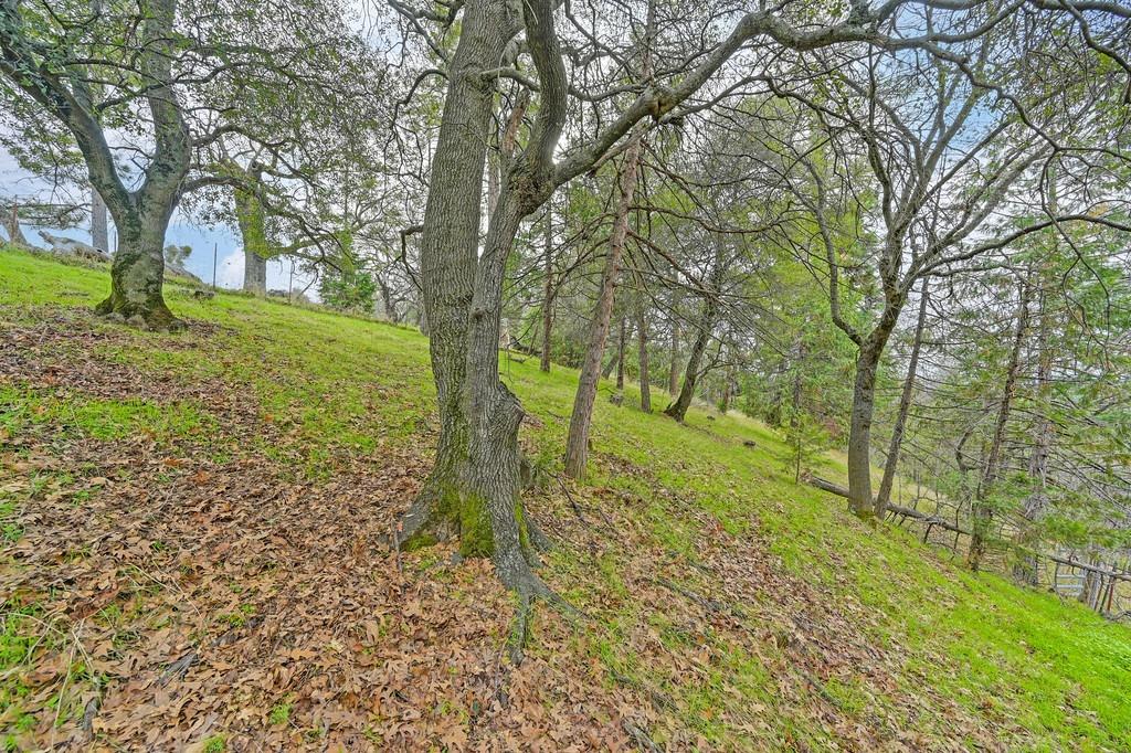 6180 Grizzly Flat Road