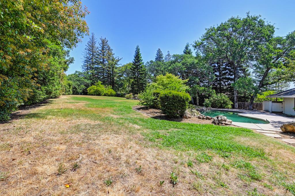 6435 Fern Leaf Drive