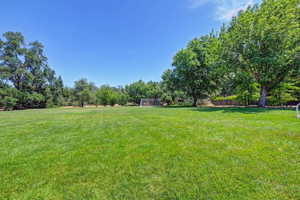 6435 Fern Leaf Drive