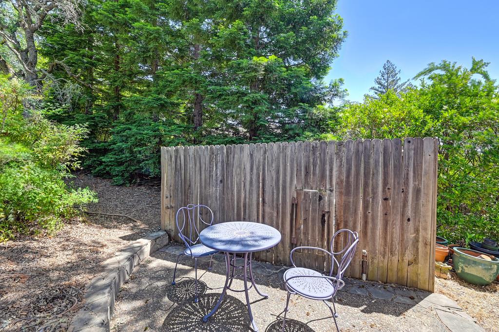 6435 Fern Leaf Drive