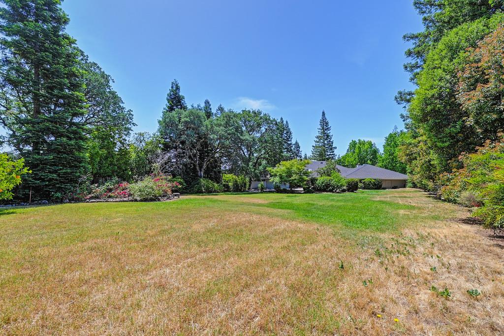 6435 Fern Leaf Drive