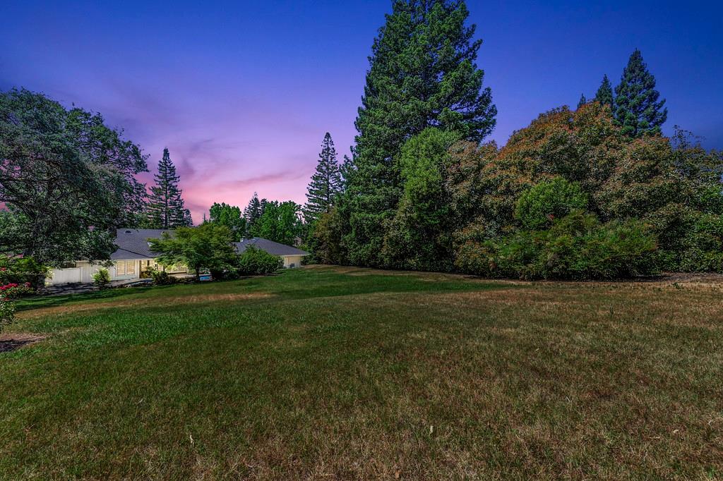 6435 Fern Leaf Drive