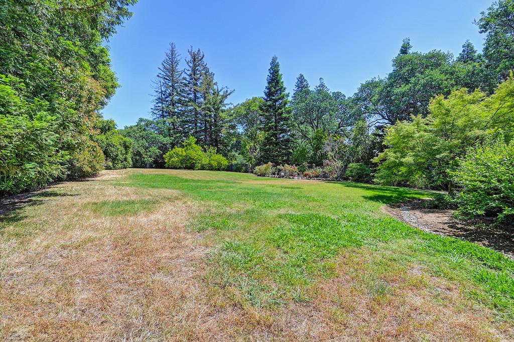 6435 Fern Leaf Drive